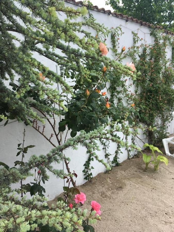 Casa Stavros Hotel Două Mai Kültér fotó