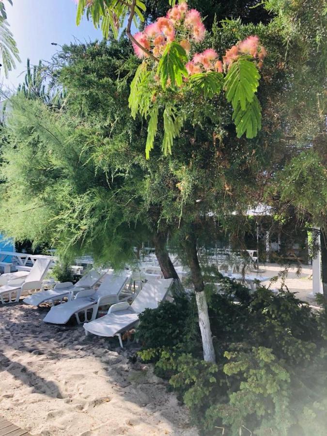 Casa Stavros Hotel Două Mai Kültér fotó